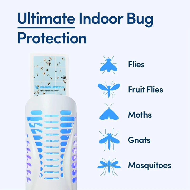 Shieldeck Flying Insect Trap Plug in - Indoor Fruit Fly Trap, Gnat Trap, and Mosquito Trap - Bug Catcher Traps with UV Light for House Indoors (1 Device + 5 Refills) (Device)