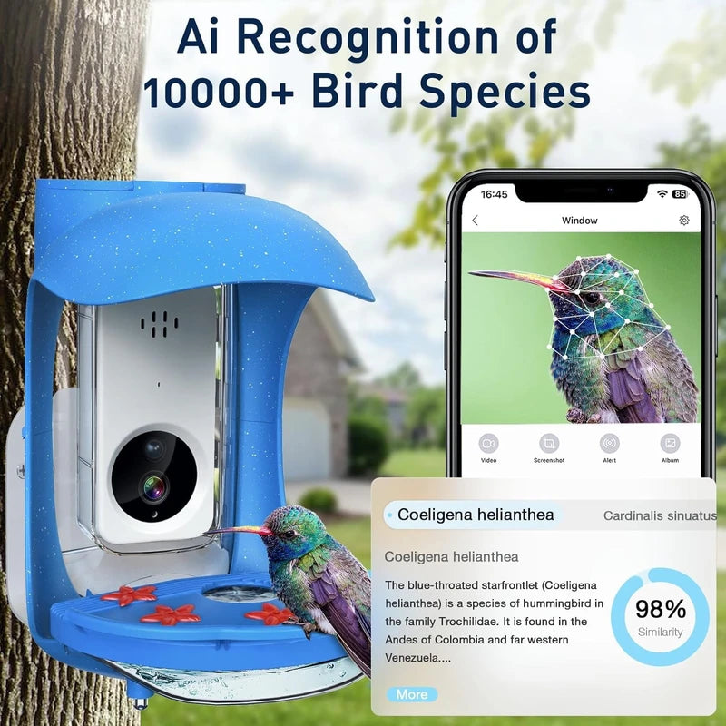 Hummingbird Feeder with Camera, Smart Bird Feeder with Camera Solar Powered, Free AI Identify Bird Species, Auto Capture Bird Videos, Ideal Gift for Bird Lover (2.4G HZ WiFi)