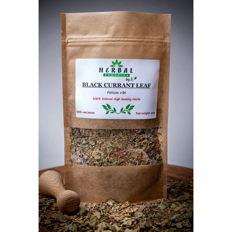Blackcurrant Leaf Tea Infusion 50g - Ribes Nigrum Black Currant - Herbal Remedies by J. - Czarna porzeczka lisc