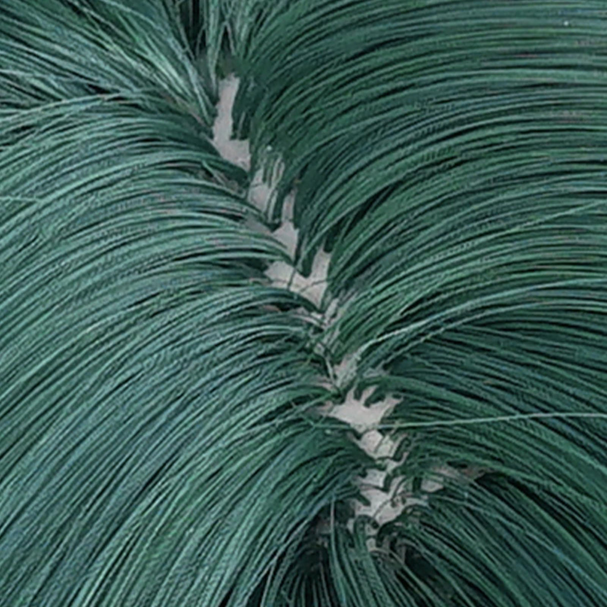 Probeauty Maomao Cosplay Wig, Long Dark Green Wigs for Women Halloween Christmas Anime Costume Party