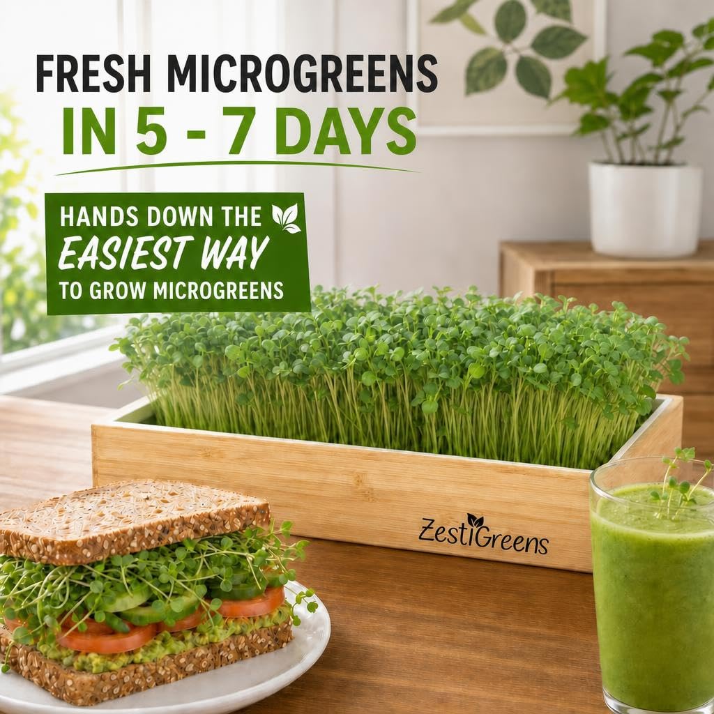 Organic Self-Watering Microgreens Growing Kit – Reusable Indoor Grow Tray with Organic Seeds, Grow Mats & Bamboo Frame – Easy No-Soil Microgreens Starter Kit (Broccoli & Salad Mix)