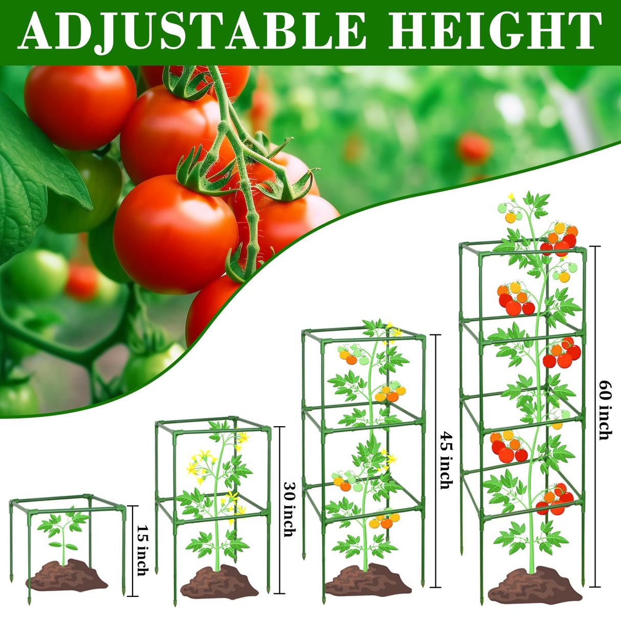 ZeeDix 6 Pack 60 Inch Heavy Duty Tomato Cages for Garden with Clips