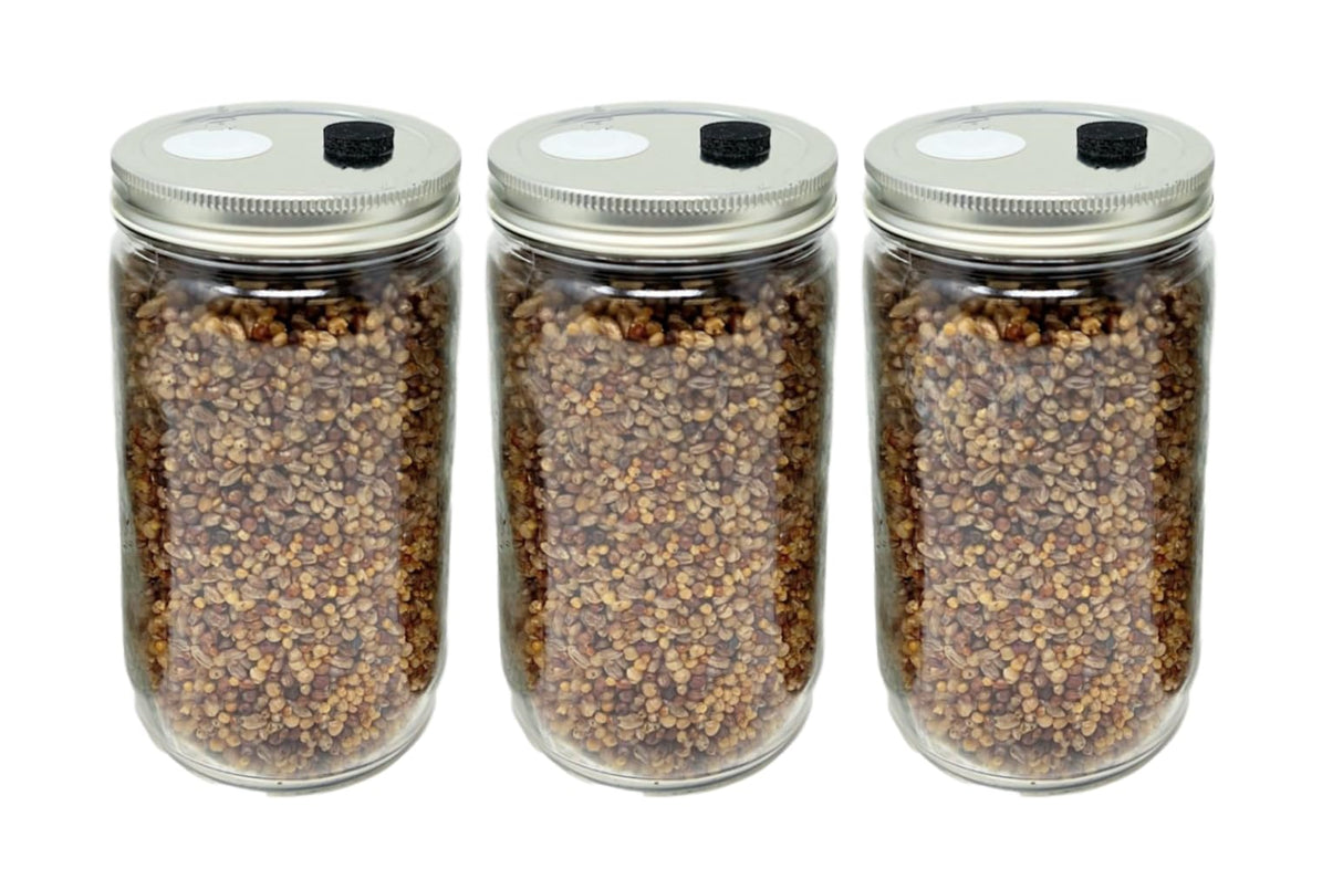 Myco Labs Premium Quick Colonizing 32oz 5-Grain Mushroom Spawn Jars (3-PACK)
