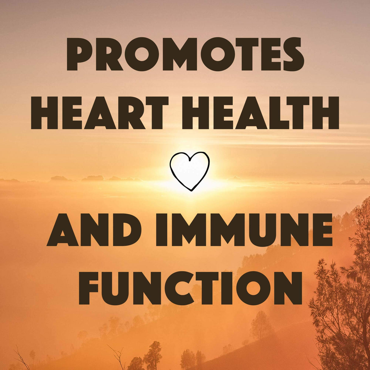 Natural Rhythm Vitamin D3 + K2 (MK7) Plus Vitamin A, for Bone, Heart, & Immune Health, 30 Capsules