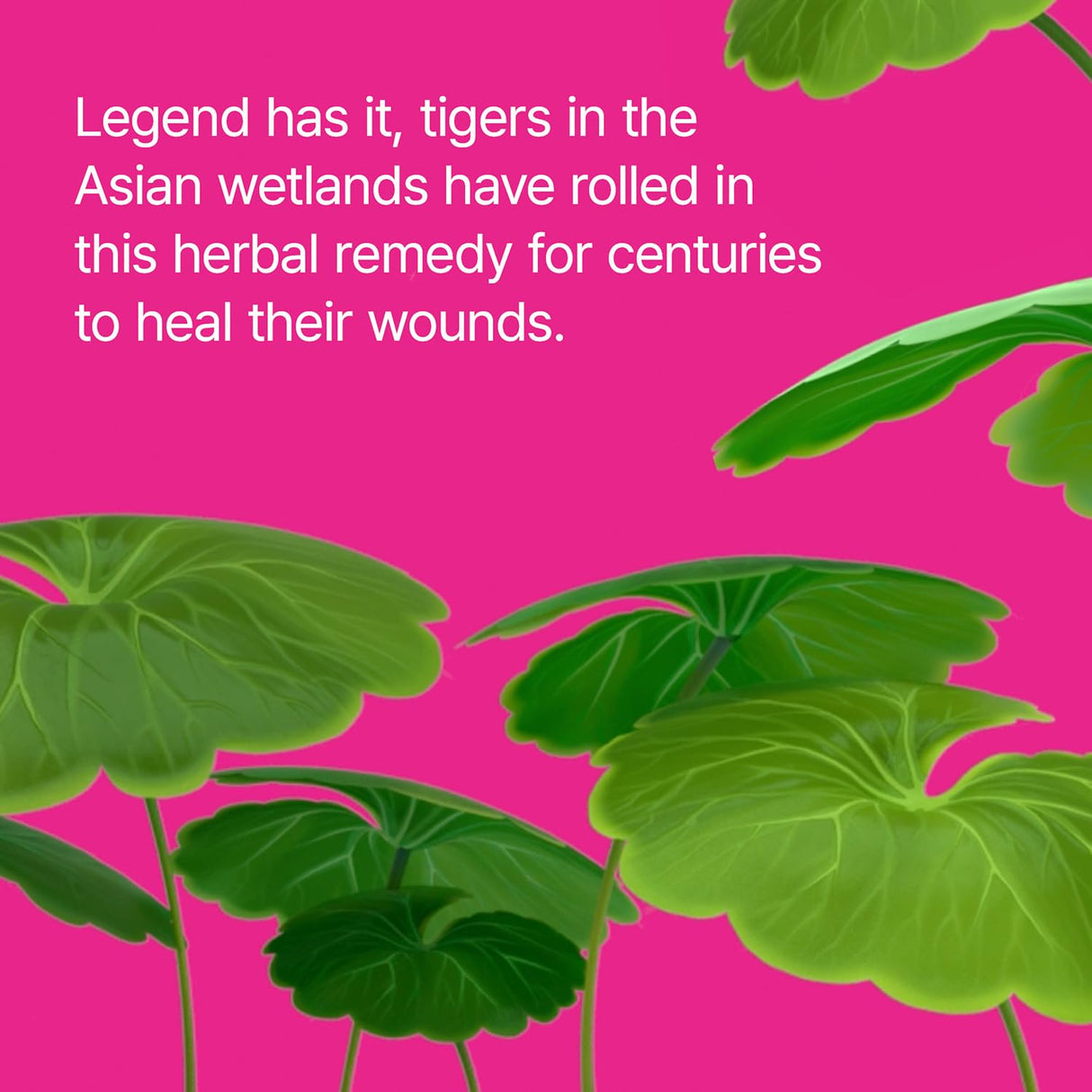 Dr.Jart+ Cicapair™ Tiger Grass Camo Drops Tinted Face Serum SPF 35 with Centella Asiatica | cc cream | Korean Skin Care, 1.01 Fl Oz