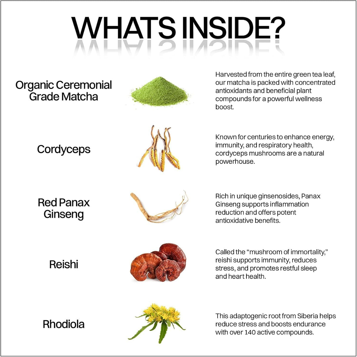 Motiv- Organic Matcha & Mushrooms Energy Gummies | 300 MG Concentrate Matcha Green Tea + Mushroom Blend | Improve Brain Function, Immune Support, Gut Health, Reduce Stress - Vegan, Non-GMO