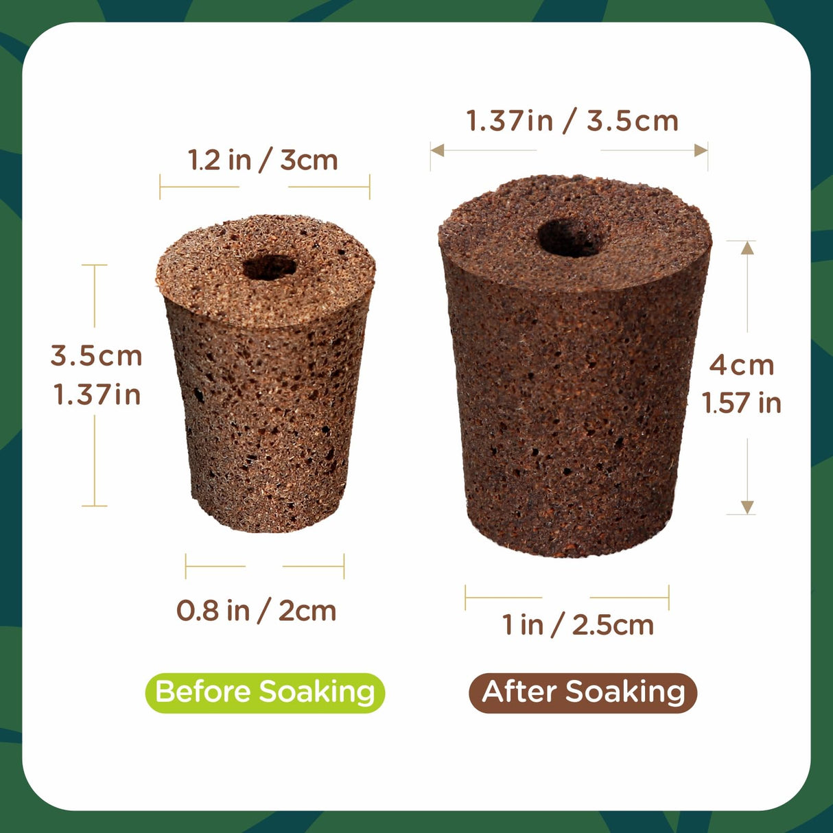 Hapxalie 70 Count Hydroponic Grow Sponges, Pre-Drilled Seed Starter Plugs
