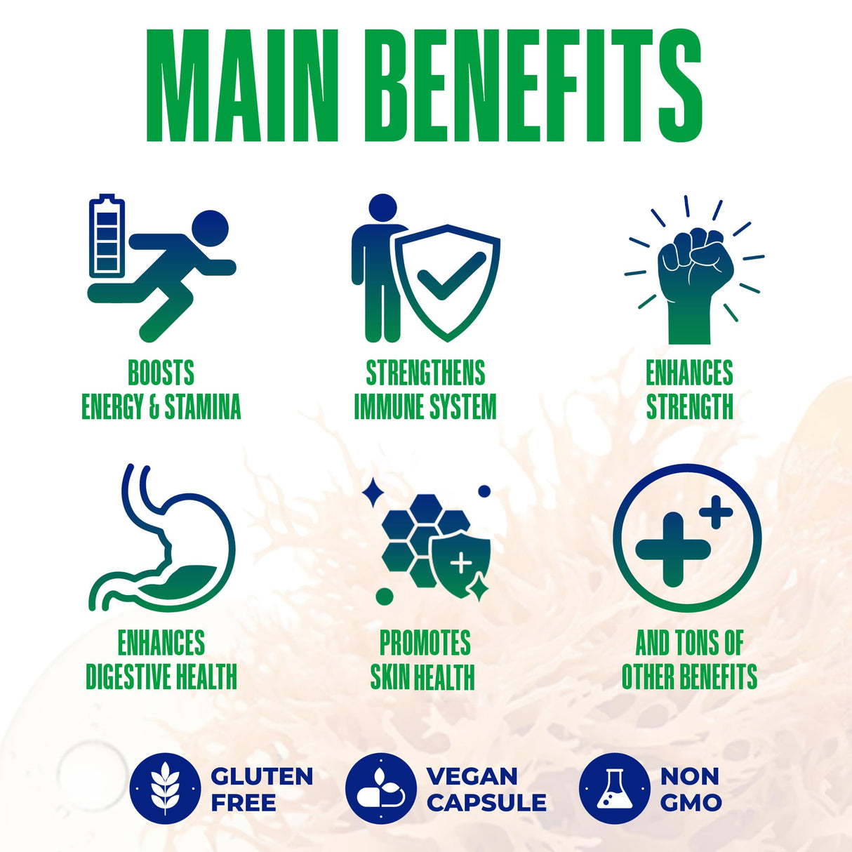 Sea Moss Black Seed Oil Ashwagandha Ginger - Advanced Irish Sea Moss Capsules All in One Supplement with Seamoss Black Seed Oil Ashwagandha Burdock Root Bladderwrack - Pills for Energy, Immune, Gut