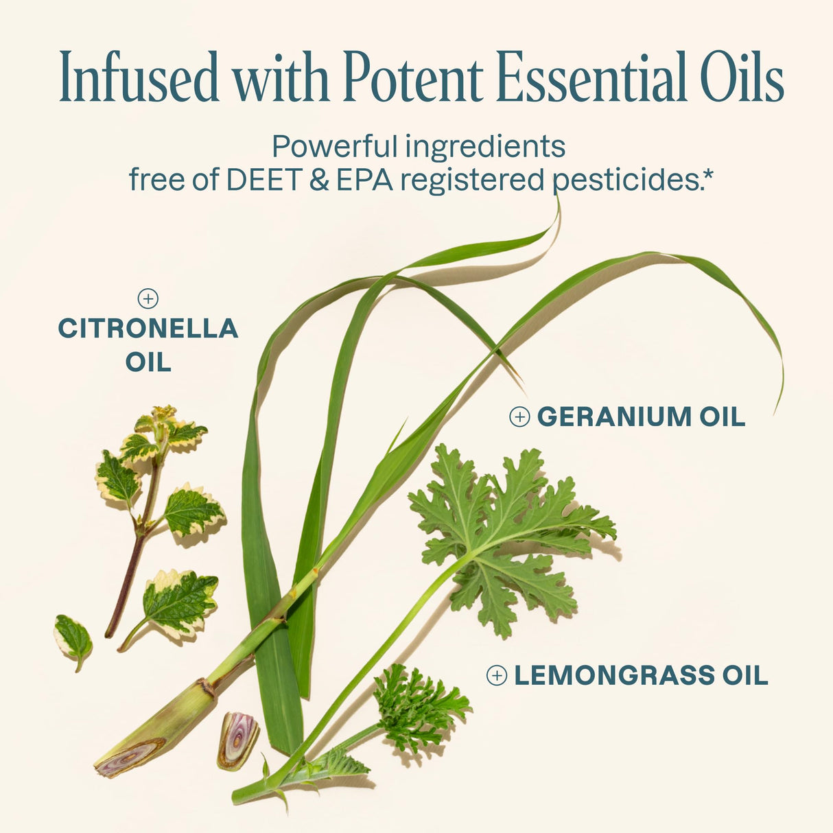 Cliganic 25 Pack Mosquito Repellent Bracelets for Adults & Kids - Natural DEET-Free Bands, Individually Wrapped