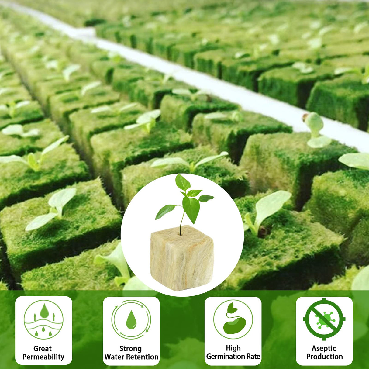 Legigo 1.5 Inch Rockwool Cubes for Hydroponics Seed Starter, Rock Wool Planting Cubes Hydroponic Garden Grow Plugs for Soilless Cultivation Plants Cutting Germination Clone(4 Sheet, 196 Plugs)