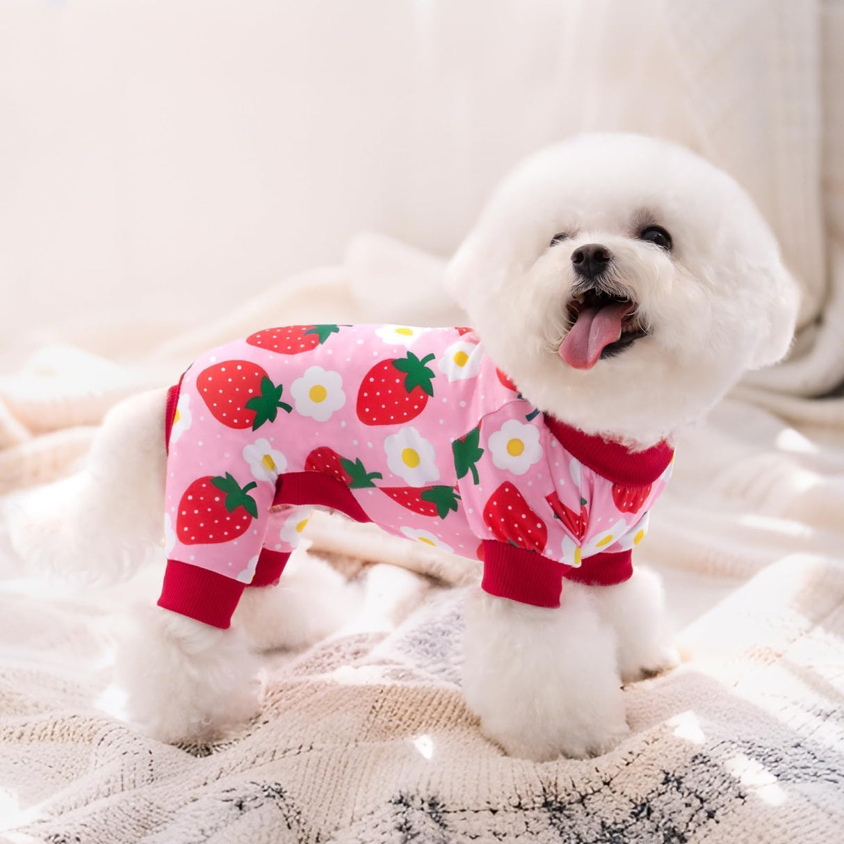 XPUDAC 4 Pieces Dog Pajamas for Small Dogs Pjs Clothes Puppy Onesies Outfits for Doggie Christmas Shirts Sleeper for Pet Cats Jammies-L