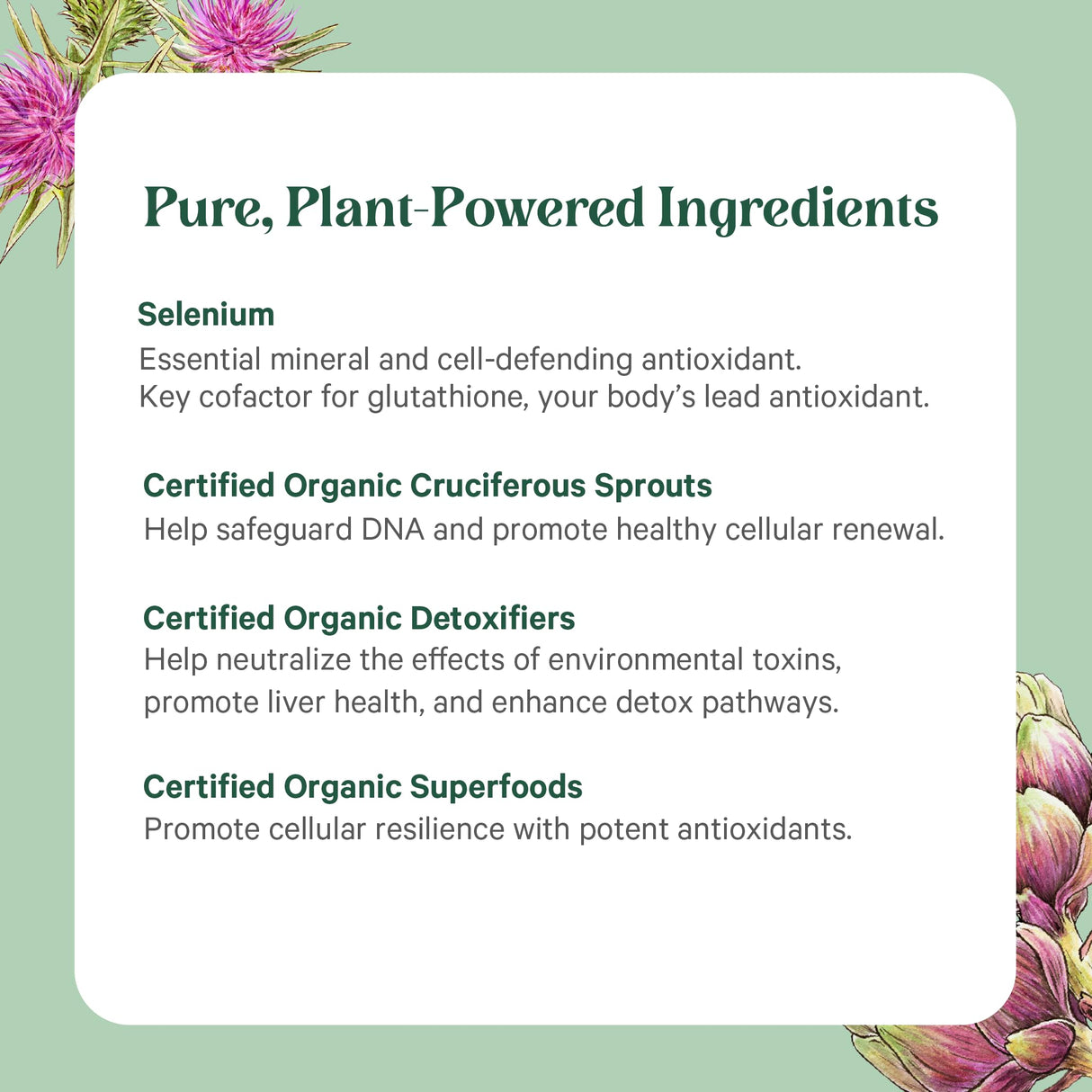 PURE SYNERGY Cell Protector | Cellular Health Supplement | Cell and Immune Support with Selenium and Organic Cruciferous Vegetables | for Healthy Aging & Detoxification (120 Capsules)