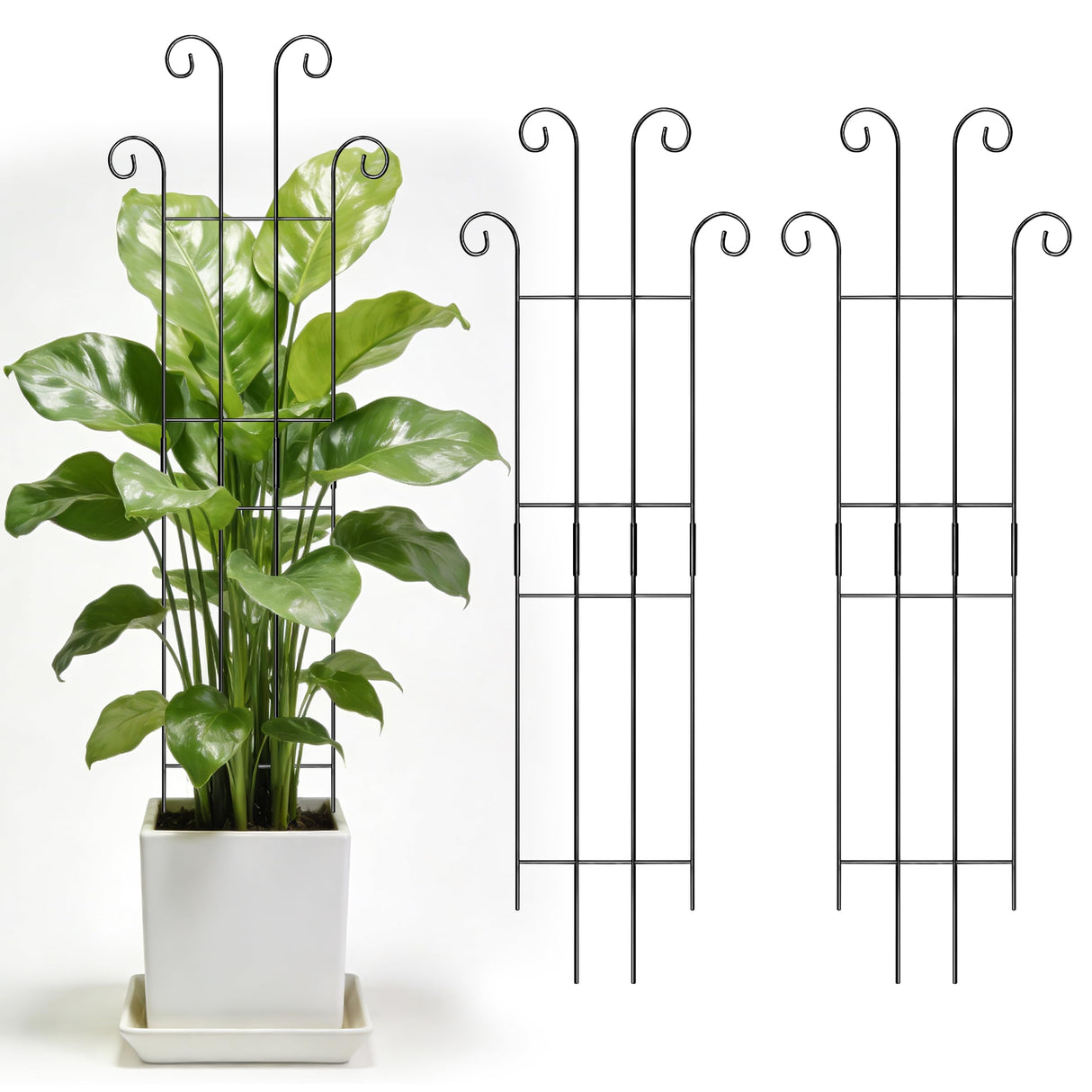 3 Set Tall Trellis for Potted Plants Indoor, 32'' Expandable Garden Metal Trellis for Climbing Plants Outdoor, Monstera Plant Support for Hoya, Vine, Ivy Pothos (Black)