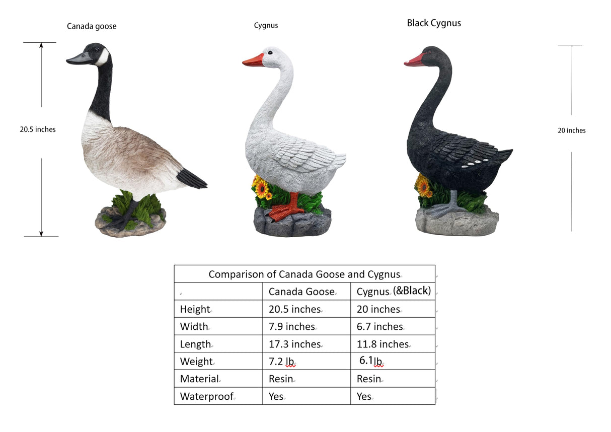 Clerodendrum Joyful Porch Goose Statue Cygnus, Classic, Detailed, Big Resin Garden Lawn Yard Décor, Sculpture, 20 inches High Figurine, Duck, Indoor and Outdoor, by GGTown TM