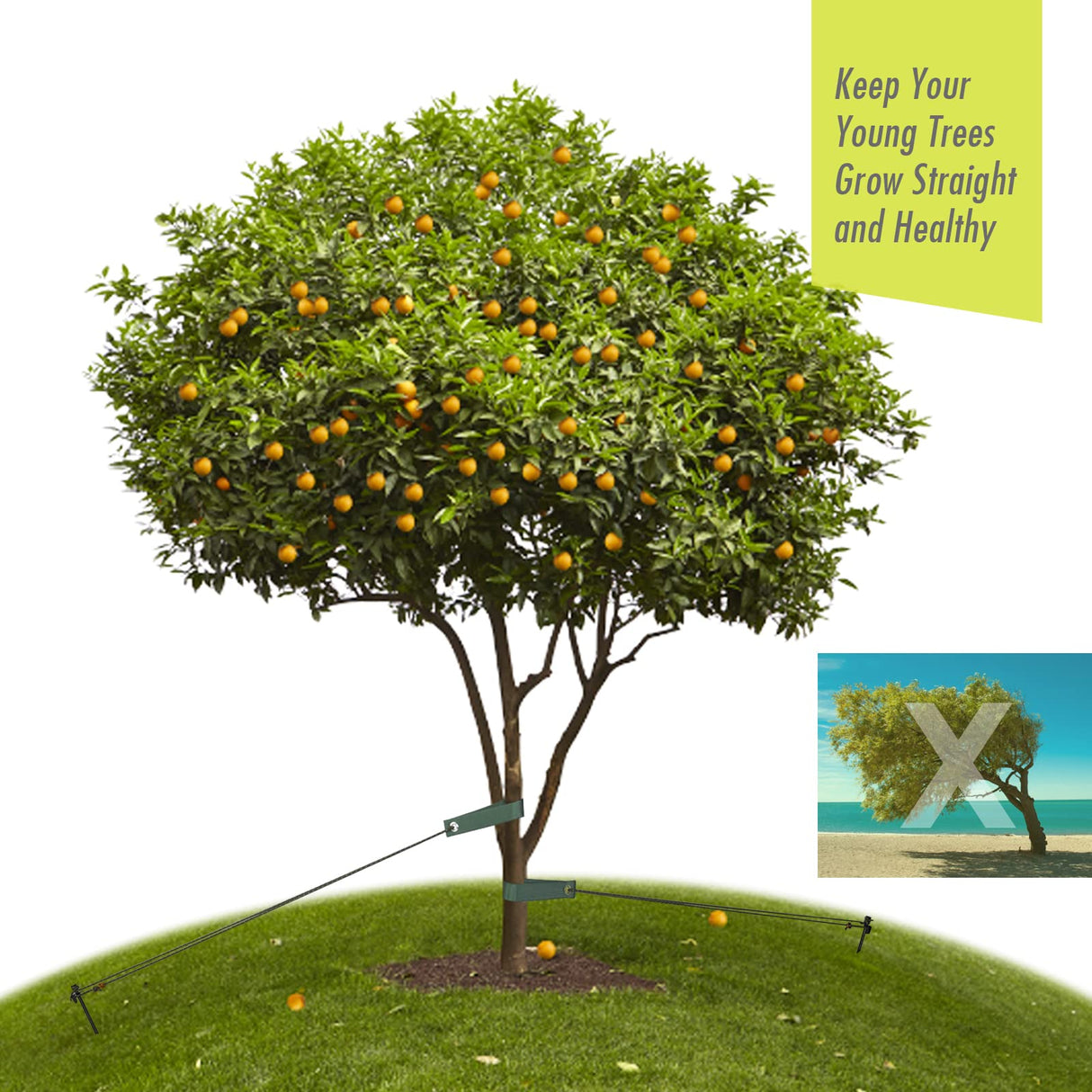 Tree Stakes and Supports, RIFNY Tree Straightening Kits for Leaning Tree