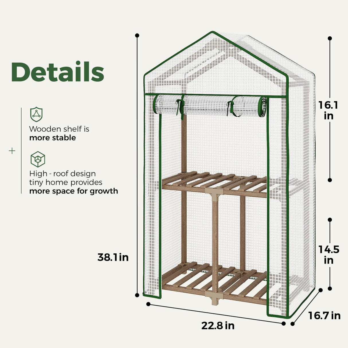 Bamworld Mini Greenhouse Indoor Small Portable 2-Tier Green House for Seed Starting Plant Grow Warmer and Home Gardening Display