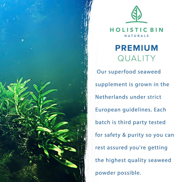 Holistic Bin Marine Phytoplankton Powder Naturally Grown in Nordic Seawater | Vegan Omega 3 Supplement | Rich in Amino Acids, Chlorophyll, Vitamins, & Trace Minerals (50g)