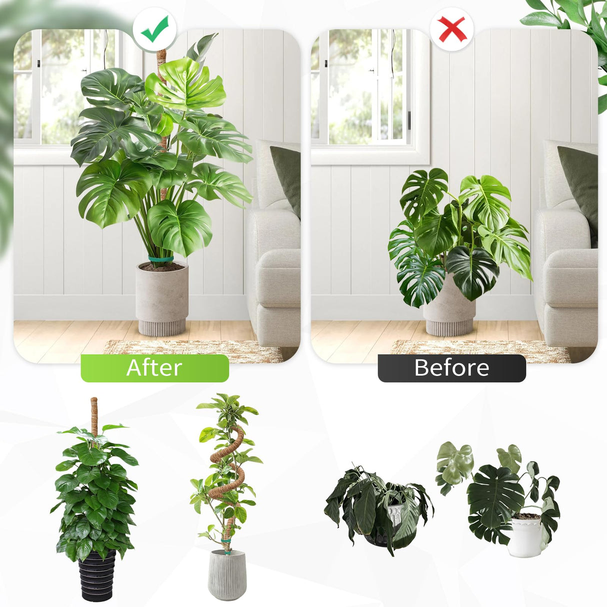 Moss Pole Monstera Plant Support 2 Pack 63 Inch Bendable Monstera Support