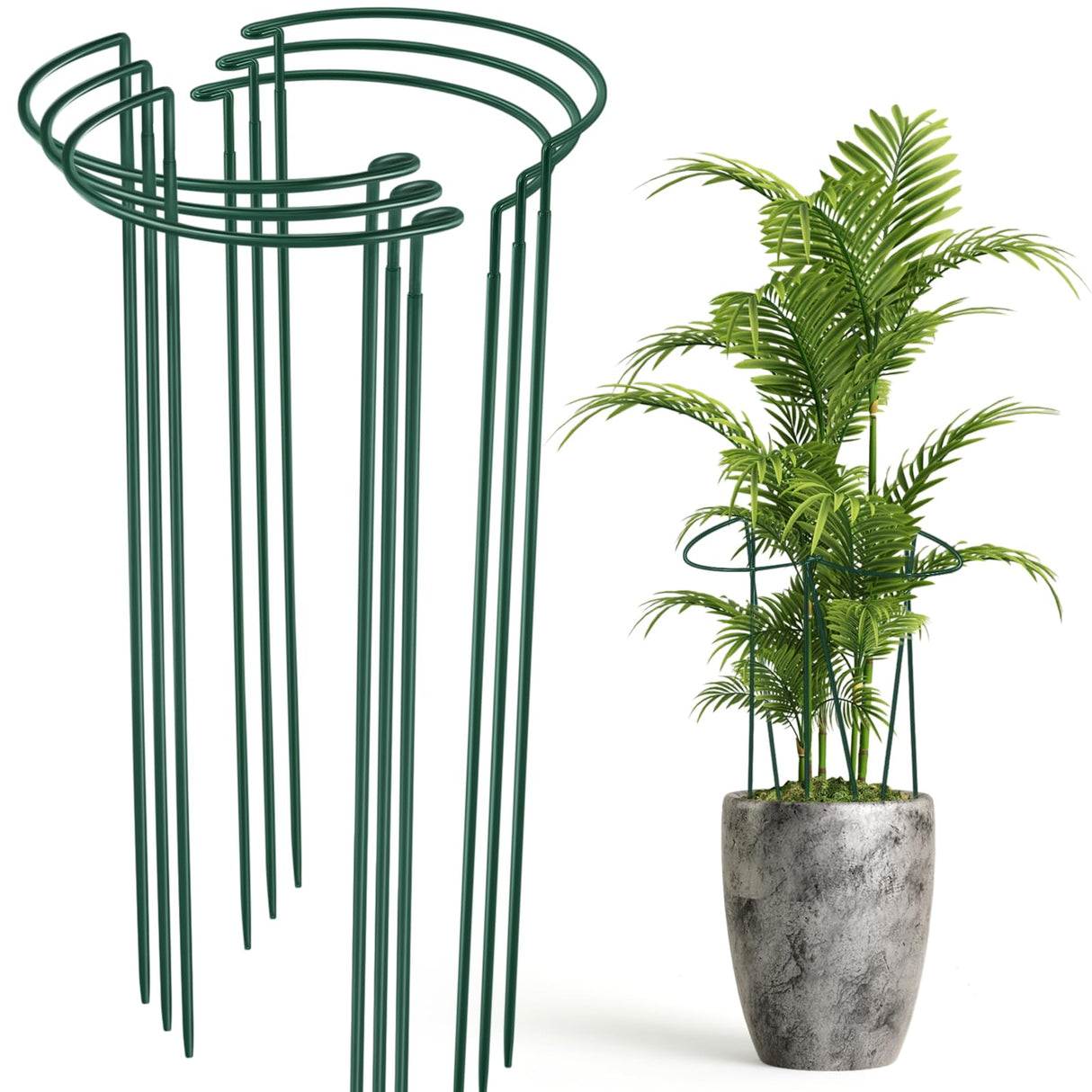 Tioncy 6 Pcs 48 H x 15.8 W Plant Support Stakes Cages for Garden, Metal Half Round Plants Tension Rods for Indoor Outdoor Large Tall Flower Vegetables Tomato Peony Rose Support
