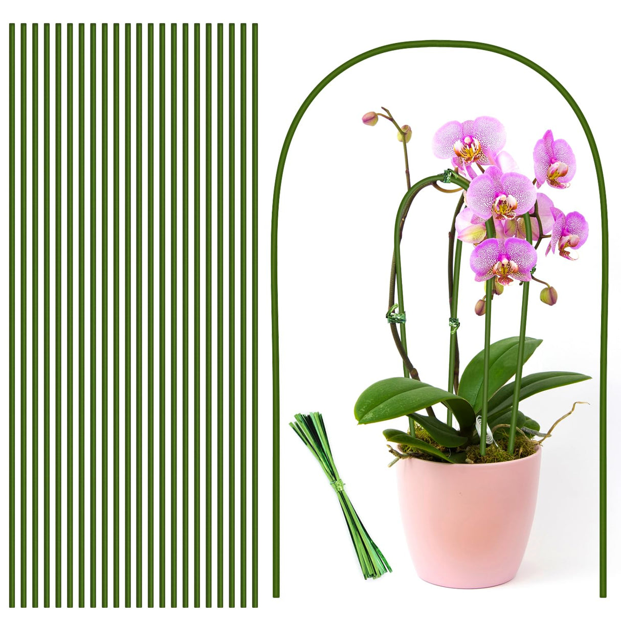20Pcs Plant Stakes, 23.6IN Orchid Support Stakes for Indoor Plants