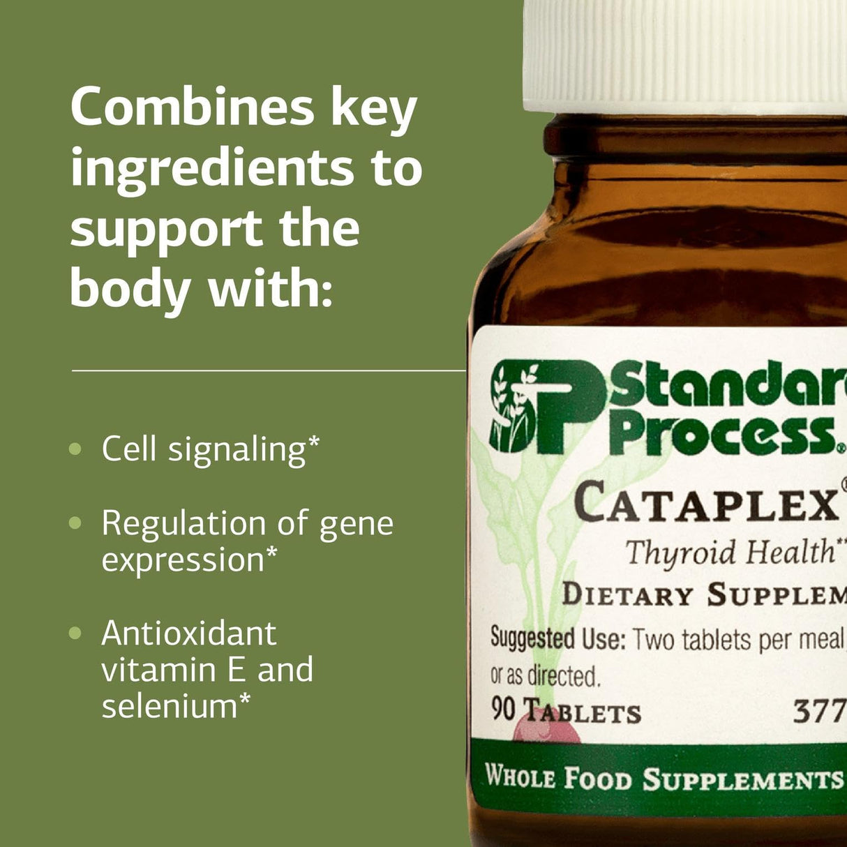 Standard Process Inc. Cataplex E - Whole Food RNA Supplement and Antioxidant with D-Alpha Tocopherol Vitamin E, Beet Root, Ascorbic Acid, Inositol, Selenium, and Honey - 90 Tablets
