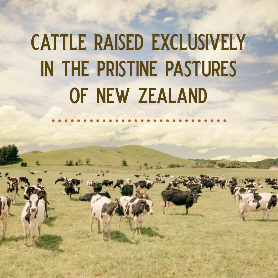 GRAZIN HEALTH - Beef Brain Capsules: 1500 Mg Brain/ 1500 Mg (30 Servings)