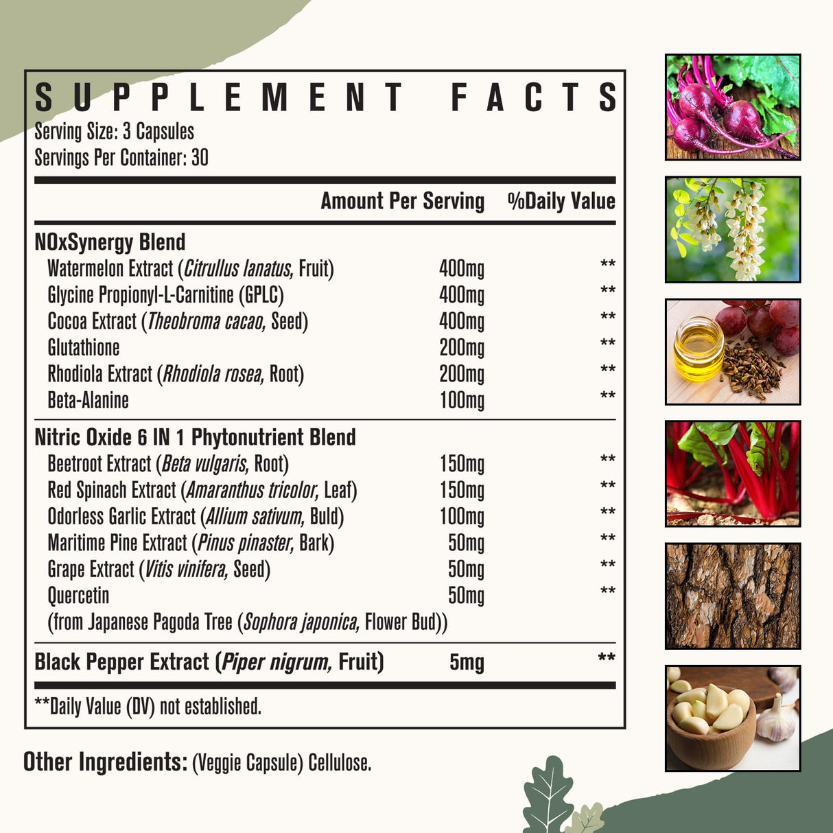 Nitric Oxide Supplement for Men - Precursor and Phytonutrient Blend for Energy, Oxygenation, and Blood Pressure (1 Pack)