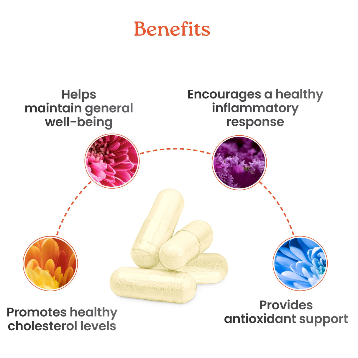 NewLife Naturals Citrus Bergamot Supplements 500 MG for Cholesterol Support- Cholesterol Supplement - 120 Veggie Capsules