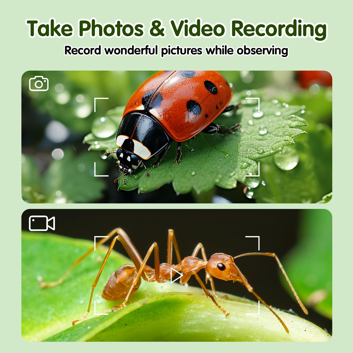 Microscope for Kids, EDCREATY 200X-1000X Portable Pocket Handheld Microscope, 2.4 High-Definition Screen, 200W Pixels for Birthday Christmas Holiday Toys Gifts for 5 6 7 8 9 10 11 12 Kids