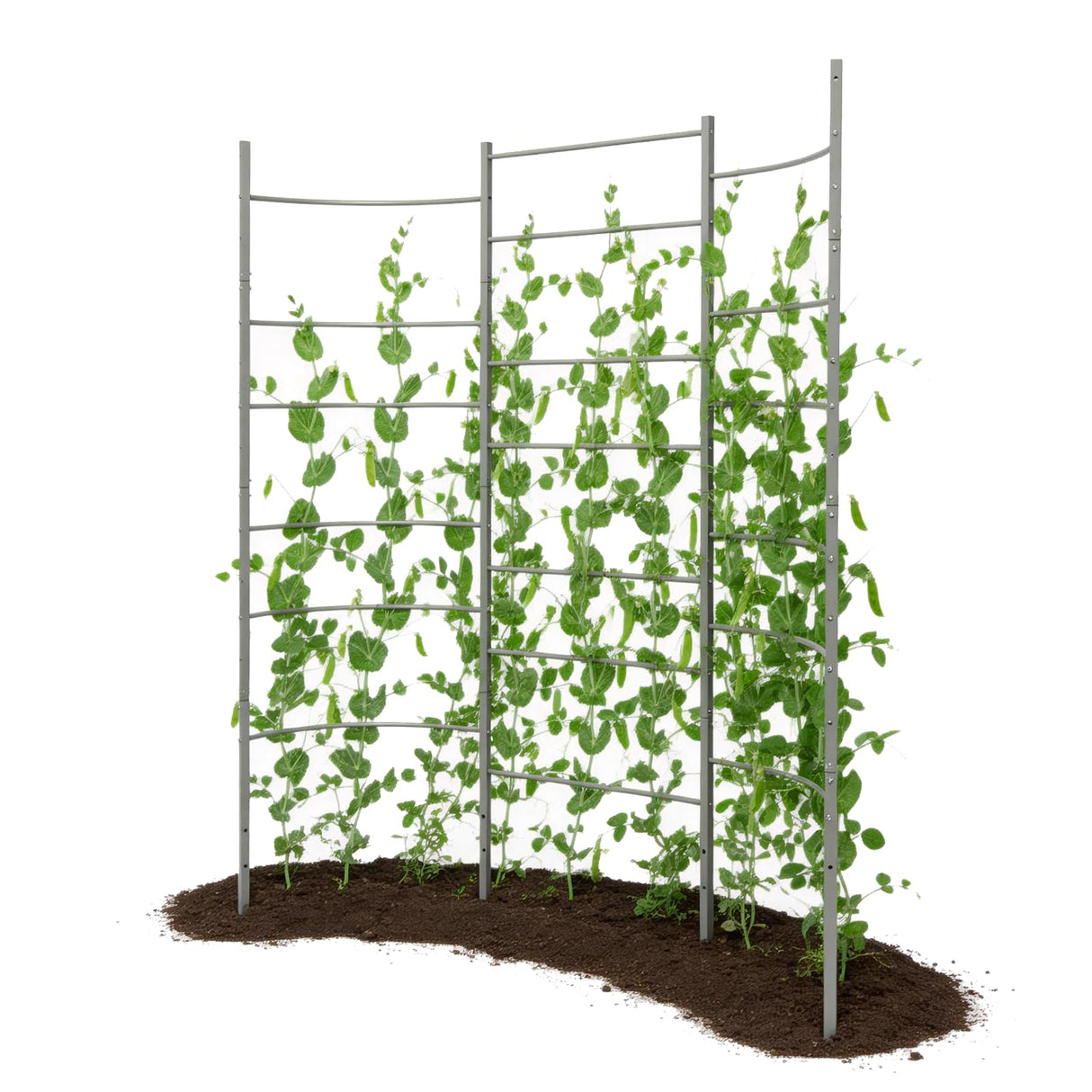 Anleolife 5.2x6ft Galvanized Vertical Panel Trellis, Raised Beds and Vines
