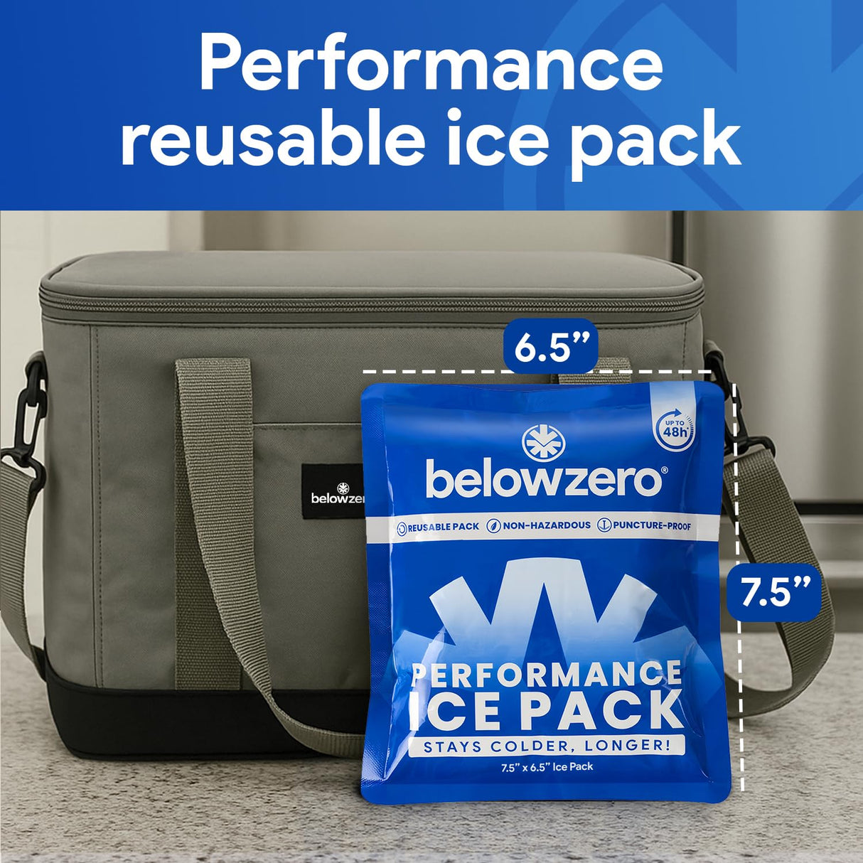 Below Zero Prefilled Reusable Ice Packs for Coolers | Long Lasting Freezer Ice Blocks for Camping, Lunch Bags & More | 48 Hour Cooler Ice Pack Technology | Small 7.5”x6.5” (5-Pack)
