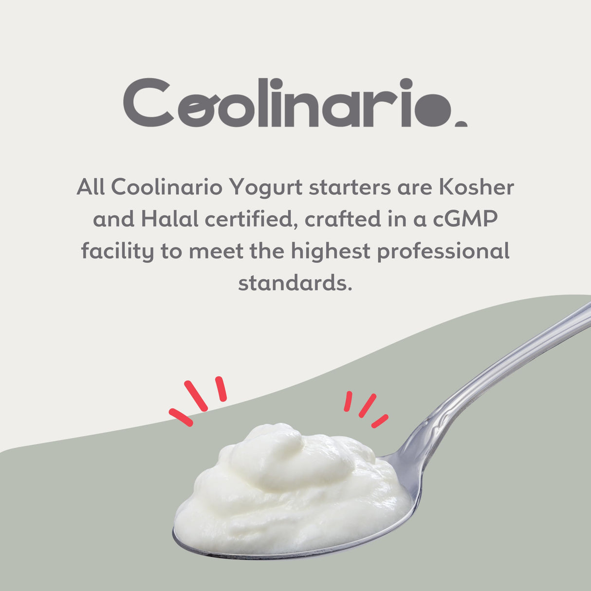Coolinario L Reuteri Yogurt Starter (10-Pack, 1g Sachets) Yogurt Starter Culture with Lactobacillus Reuteri Probiotics | Creamy & Delicious | Non-GMO, No Preservatives, Gluten Free, Halal, Kosher