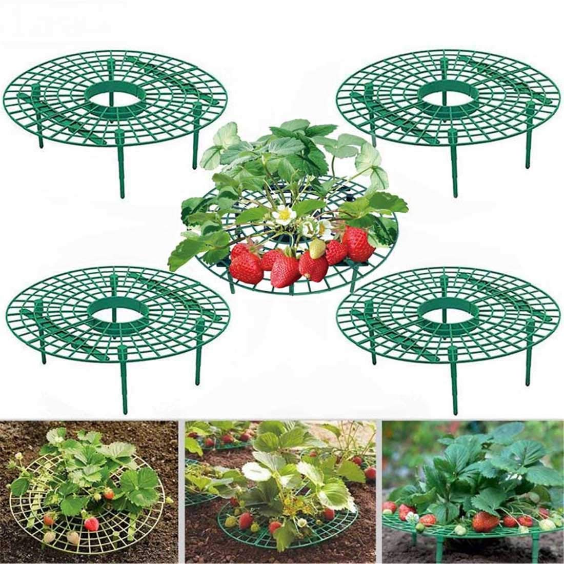 10 Pack Strawberry Supports Keeping Fruit Elevated & Balcony Planting Rack Fruit Support Plant Flower Climbing Vine Pillar Gardening Stand