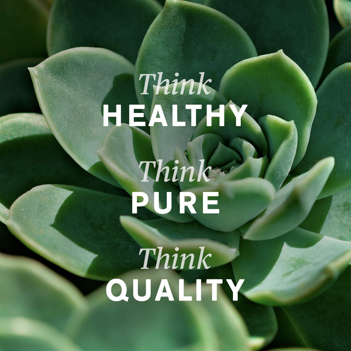 Nature's Sunshine Lymphatic Drainage, 2 Fl. Oz | Lymphatic Drainage Supplement Promotes The Efficient Drainage of The Lymphatic System to Promote Overall Health