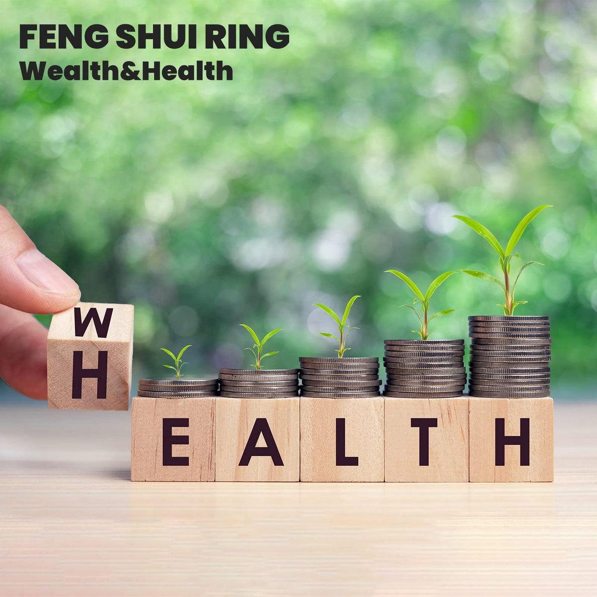 HETICA Feng Shui Pixiu Mantra Amulet Lucky Adjustable Ring