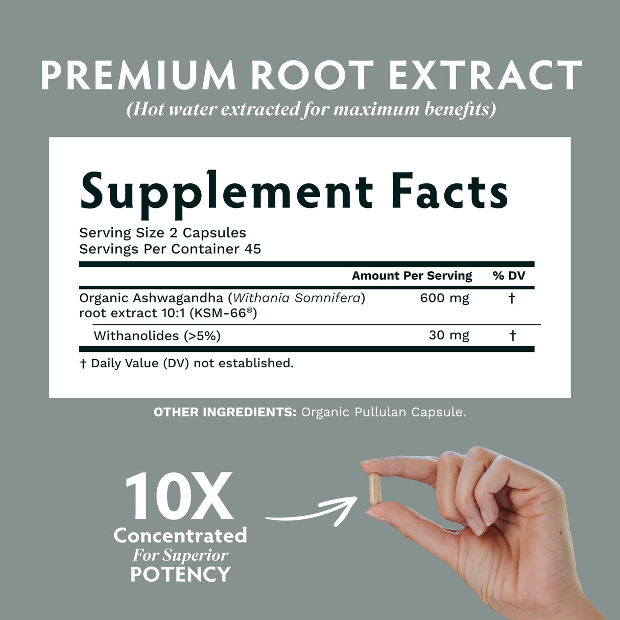 TRIBE ORGANICS Vegan Ashwagandha KSM 66 Pure Organic Root Powder Extract Ayurvedic Supplement - Focus Mood Support Increase Energy Strength 600mg of Natural KSM66 for Superior Absorption - 90 Capsules