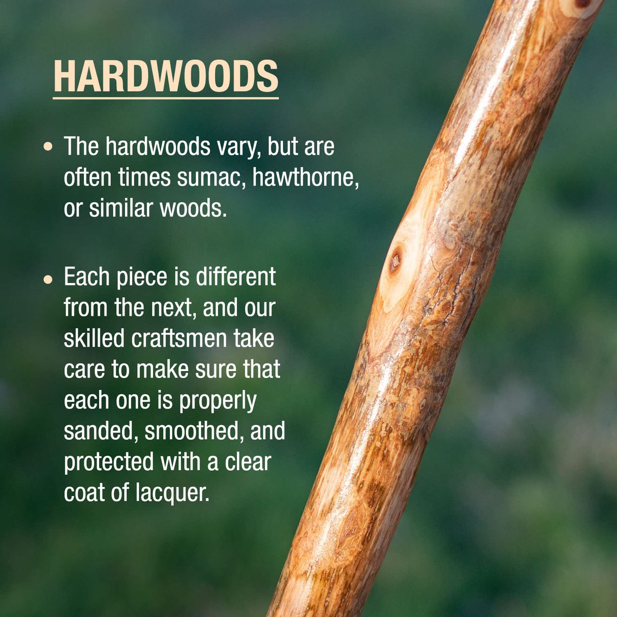 Brazos 48" Handcrafted American Hardwood Walking Stick for Men and Women, Made in The USA , 48 Inch