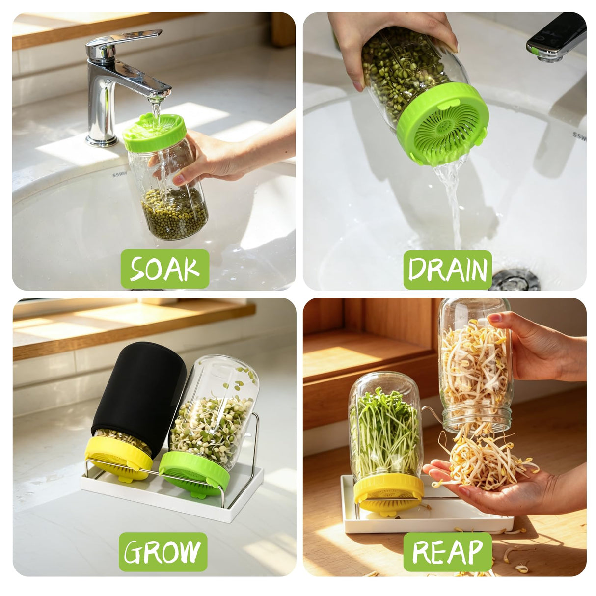 Seed Sprouting Kit - 2×32 Oz Wide-Mouth Mason Jars with Sprouter Lids, Stand, Sprout Tray & Light Shield, for Broccoli, Alfalfa, Mung Beans & Microgreens (Yellow + Green)