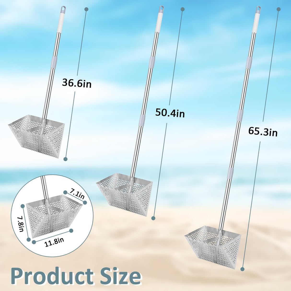 Sand Flea Rake, 65" Long Handle Stainless Steel Sand Sifter for The Beach