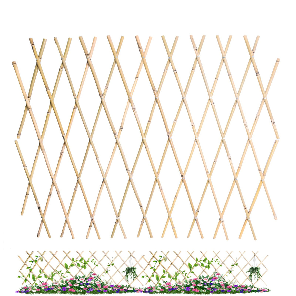 Jollybower 48x72 Inch Expandable Bamboo Trellis, Garden Lattice Fence, Expandable Fence for Climbing Plants, Vines & Ivy,Pet & Dog Barrier(Pack of 1)