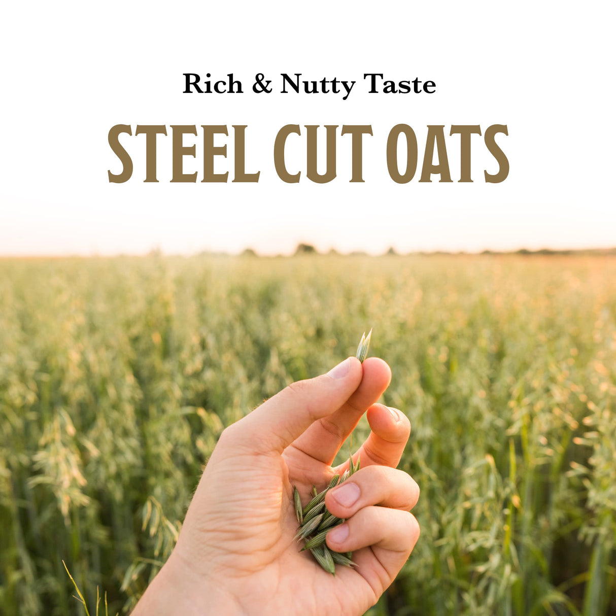 McCann's Irish Oatmeal, Quick & Easy Steel Cut Oats, 24 Ounce