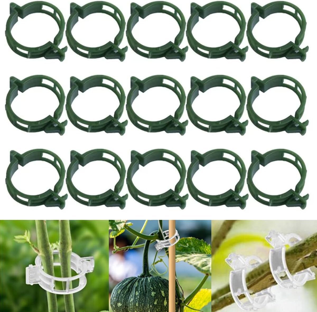 50 PCS Secured Plastic Plant Clip, Plant Support Clips, Garden Clips for Climbing Plants, Plastic Trellis Clips Plant Support Clips Tomato Grape Vine Vegetables Plant Fixing Clips (50, Green)