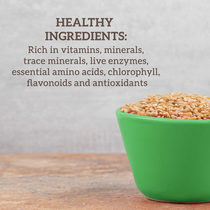 Hallelujah Diet Organic BarleyMax - Barley Grass Juice and Alfalfa Juice Powder, Vegan Formula, Plant-Based Dietary Supplement, Health Food Products, Original, 8.5 Ounce Bottle (60 Day Supply)