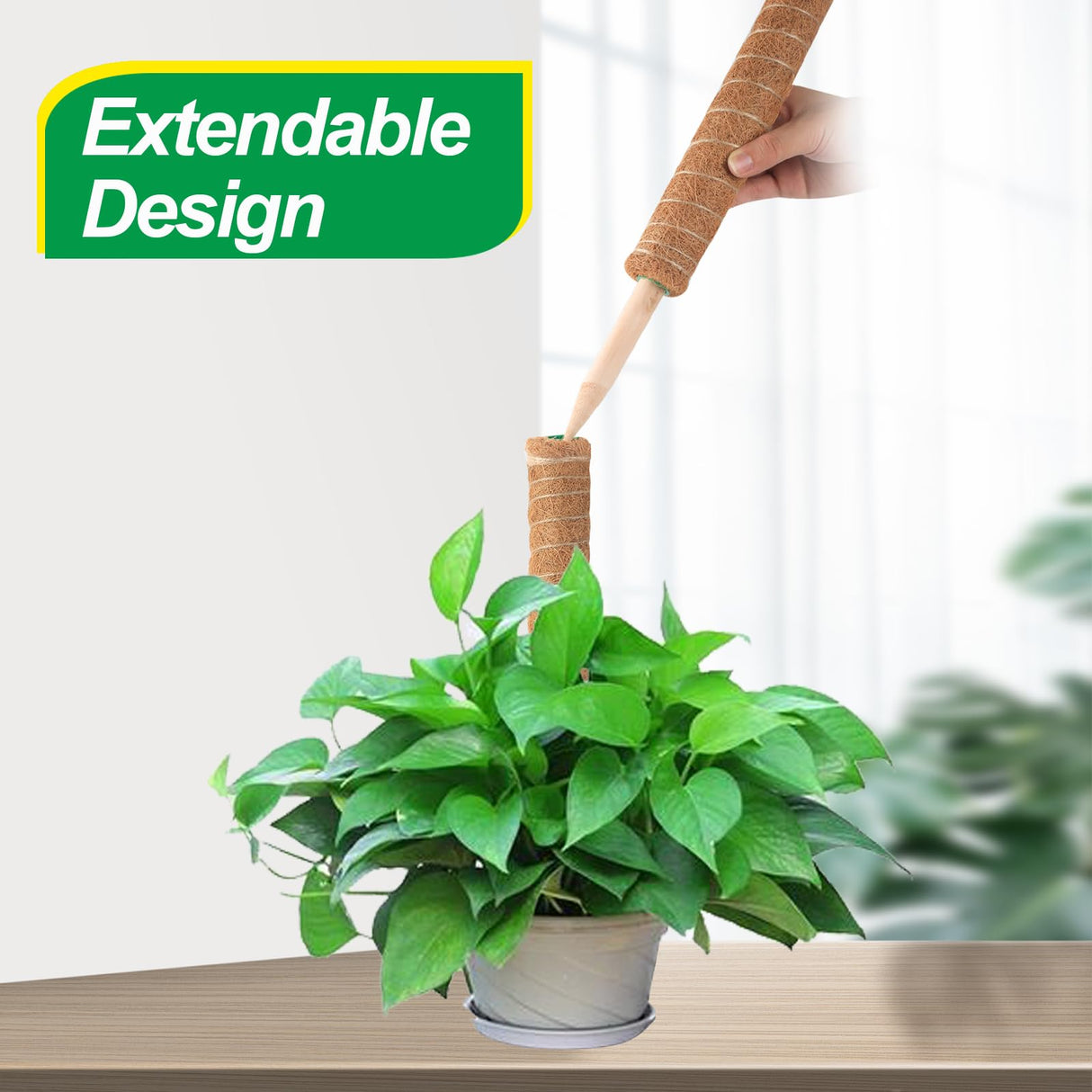 6 Pack Moss Poles for Monstera Plant Support (4x17in + 2x12in, 92in Total) – Stackable Moss Pole for Plants,Ideal Plant Stakes for Indoor Plants, Pothos, and Philodendron Support,with Garden Ties