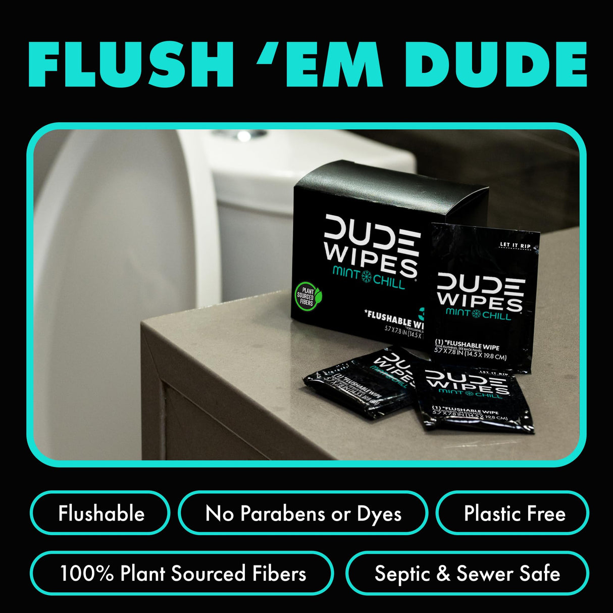 DUDE Wipes On-The-Go Flushable Wet Wipes - 30 Count, Pack of 2 - Mint Chill Extra-Large Individually Wrapped Wipes with Eucalyptus & Tea Tree Oil - Septic and Sewer Safe
