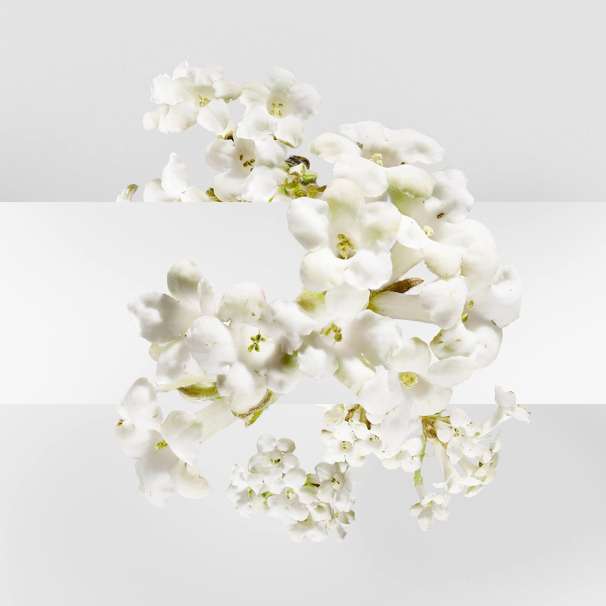 Un Jardin Sur La Lagune by Hermes for Women 3.3 oz Eau de Toilette Spray