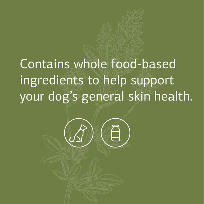 Standard Process - Canine Dermal Support - Healthy Skin for Dogs - 30 Grams