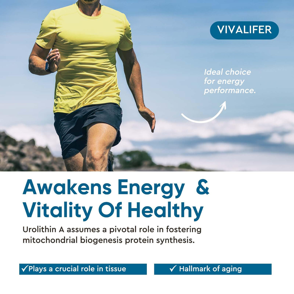 DQQI 1000 MG Urolithin A Supplement, 90 Softgels Powerful Antioxidants for Healthy Aging and Mitochondrial Support, Cell Repair