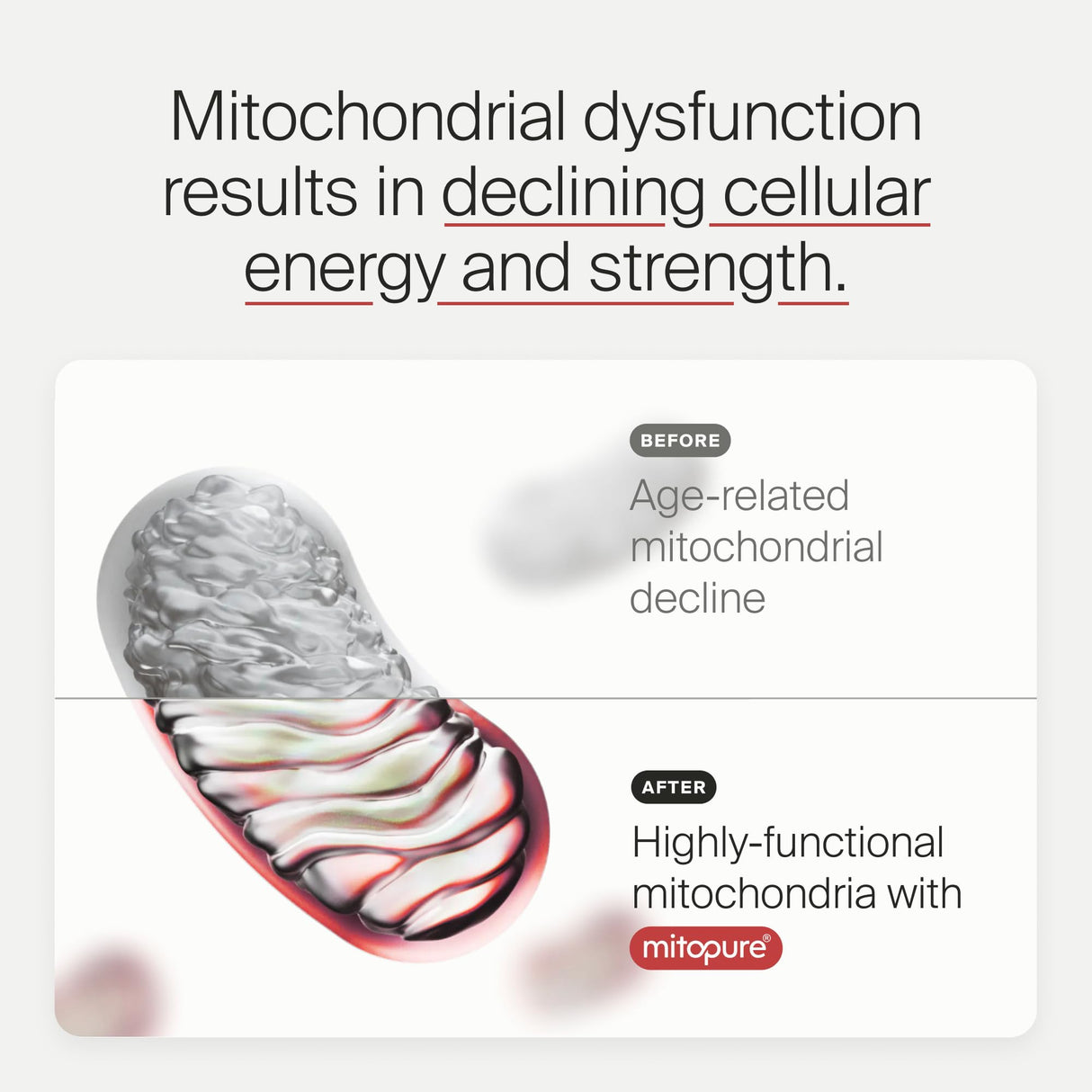 Timeline Mitopure Urolithin A Supplement Powder - Clinically Proven Support for Healthy Aging and Cellular Renewal - Mitoceutical for Muscle Support and Longevity