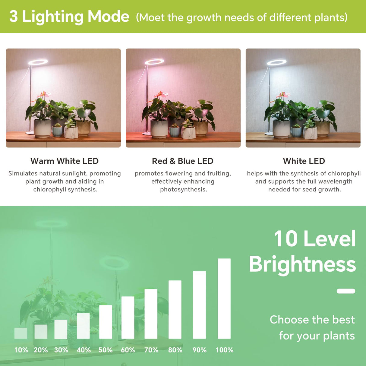 GTRUIIDY Desktop Grow Light, Full Spectrum Plant Light with Timer, Height Adjustable Halo Grow Lamp for Indoor Plants, 3 Lighting Modes for Seedlings & Succulents, White